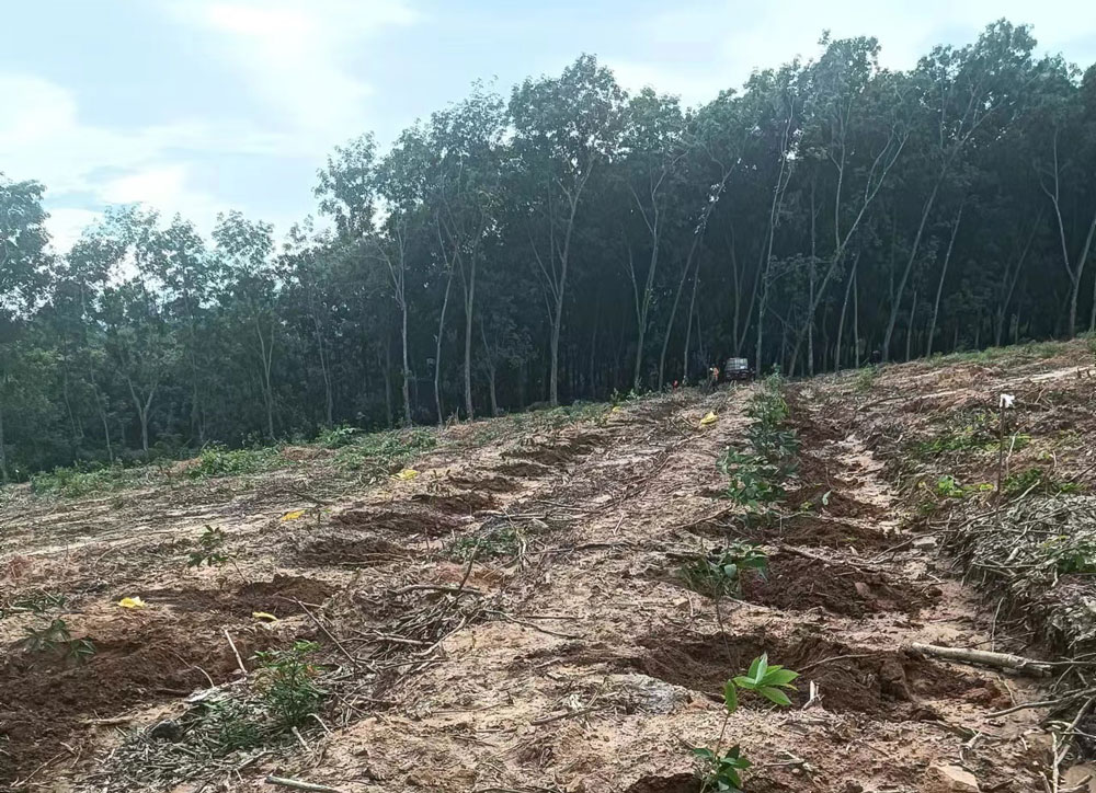 %title插图%num %title插图%num