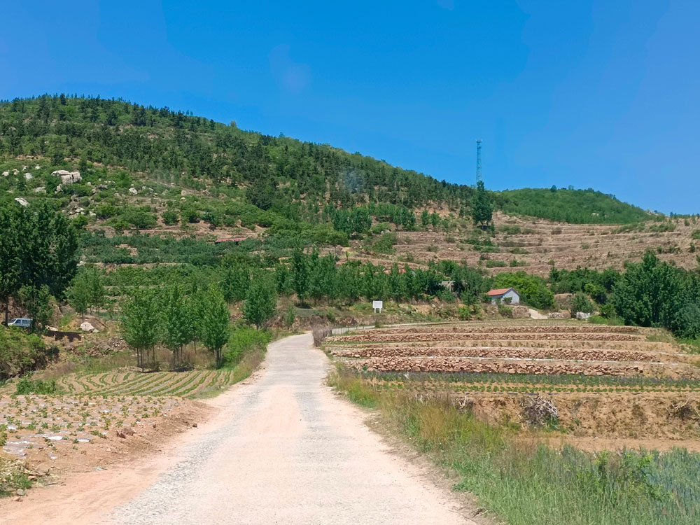 %title插图%num %title插图%num