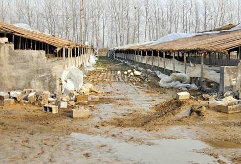 %title插图%num %title插图%num