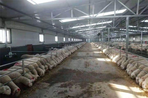 %title插图%num %title插图%num