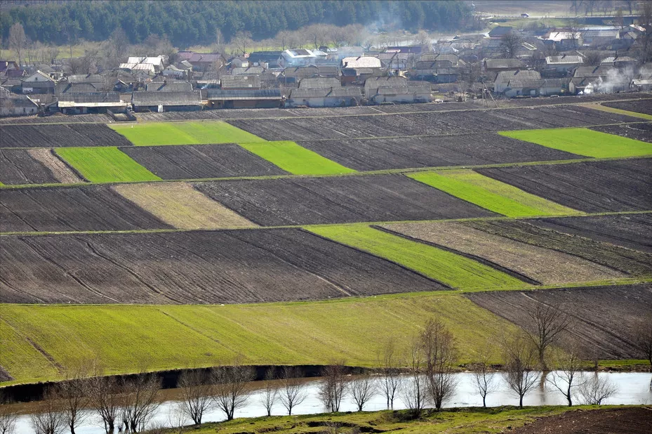 %title插图%num %title插图%num