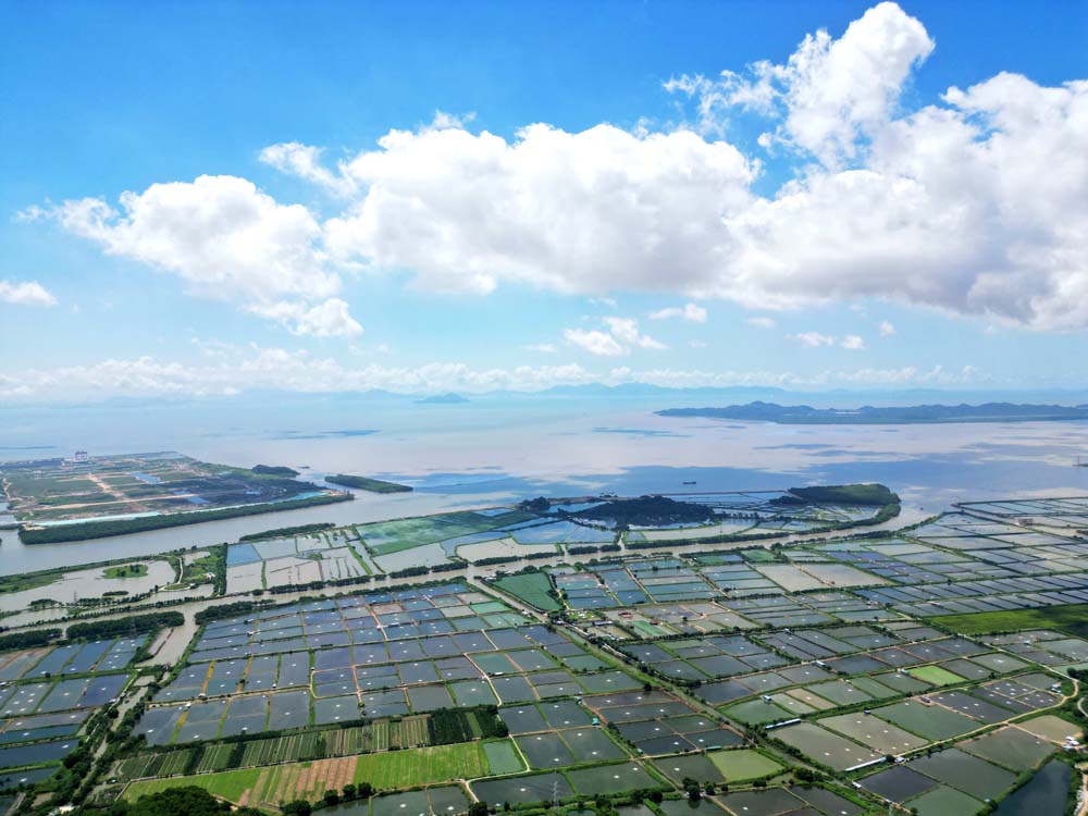 历史围填海区域的滩涂养殖场被征收,一纸“没证”就不给补偿？
