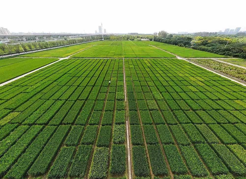 政府明知是基本农田,还让河南一家企业垫资740万用于征地？